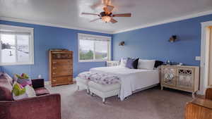 Large Primary Bedroom featuring Lots of Natural Light and crown molding