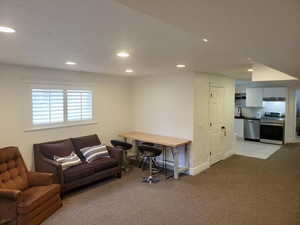 Basement Living Room with Recessed Lighting