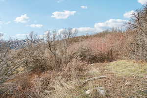 View of undeveloped land