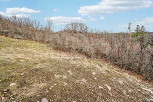 View of nature featuring rural landscape