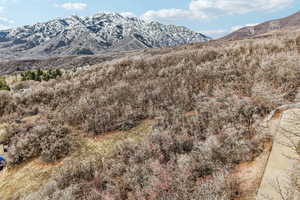 View of mountain background