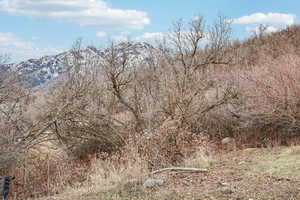 View of mountain background