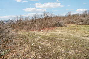 View of local wilderness with rural landscape