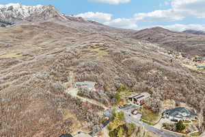 Bird's eye view of a mountainous background