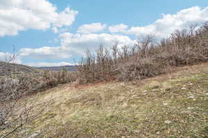 View of undeveloped land featuring rural landscape and mountains