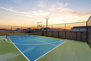 Standard size Pickleball Court