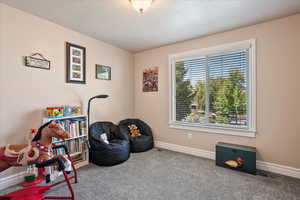 Recreation room with baseboards and carpet flooring