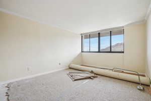 Unfurnished room with ornamental molding and carpet
