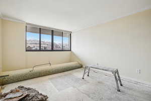Empty room featuring a mountain view and ornamental molding