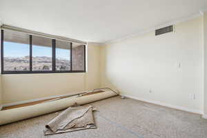 Unfurnished room featuring a mountain view, ornamental molding, and carpet floors