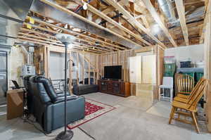 Unfinished below grade area with water heater