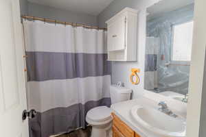 Full bathroom with vanity, curtained shower, and dark wood-style floors