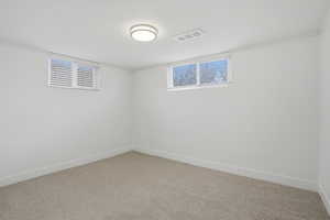 Downstairs bedroom