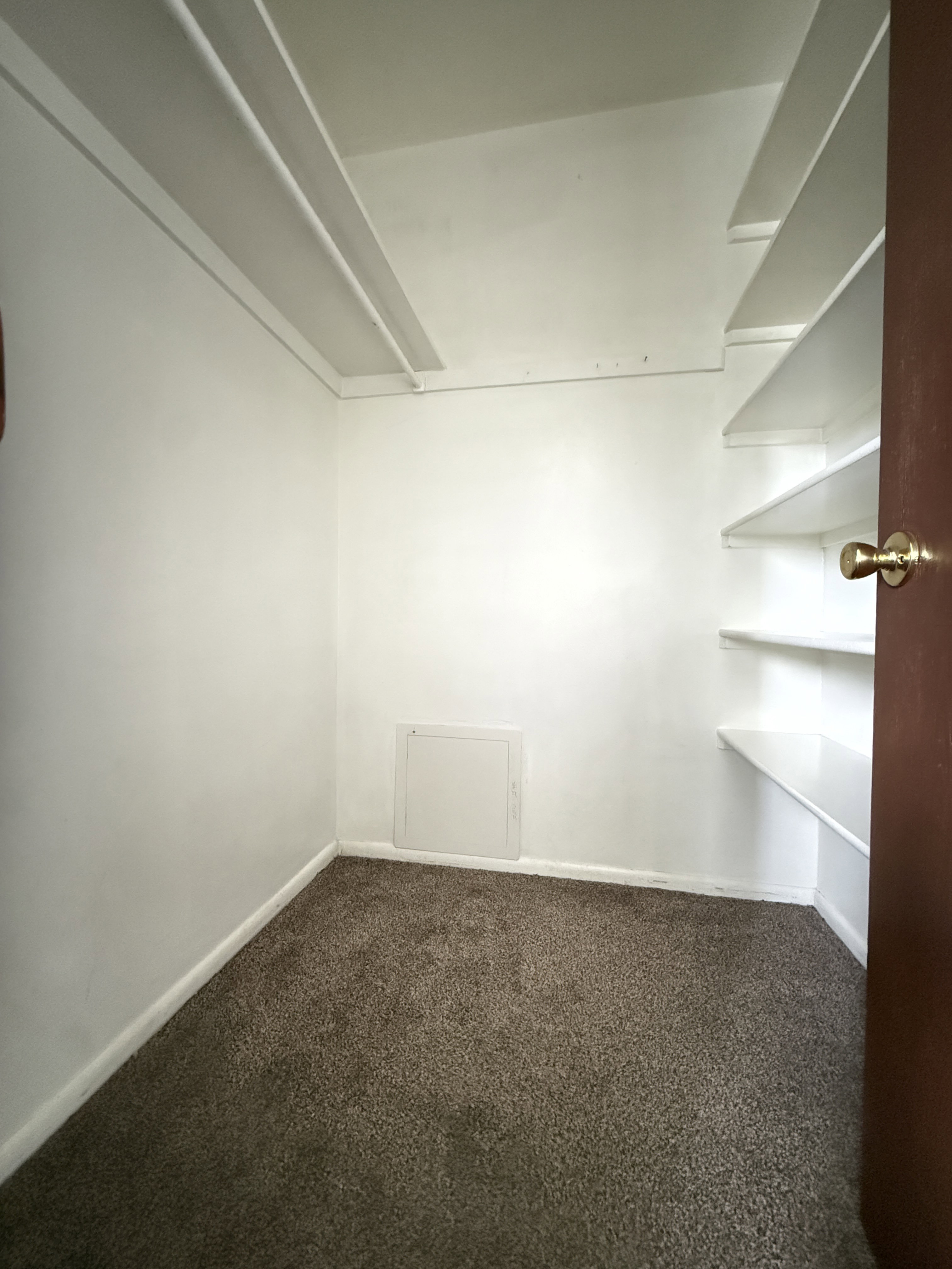 Interior space featuring wall-mounted shelving, white walls, and a brown carpeted floor