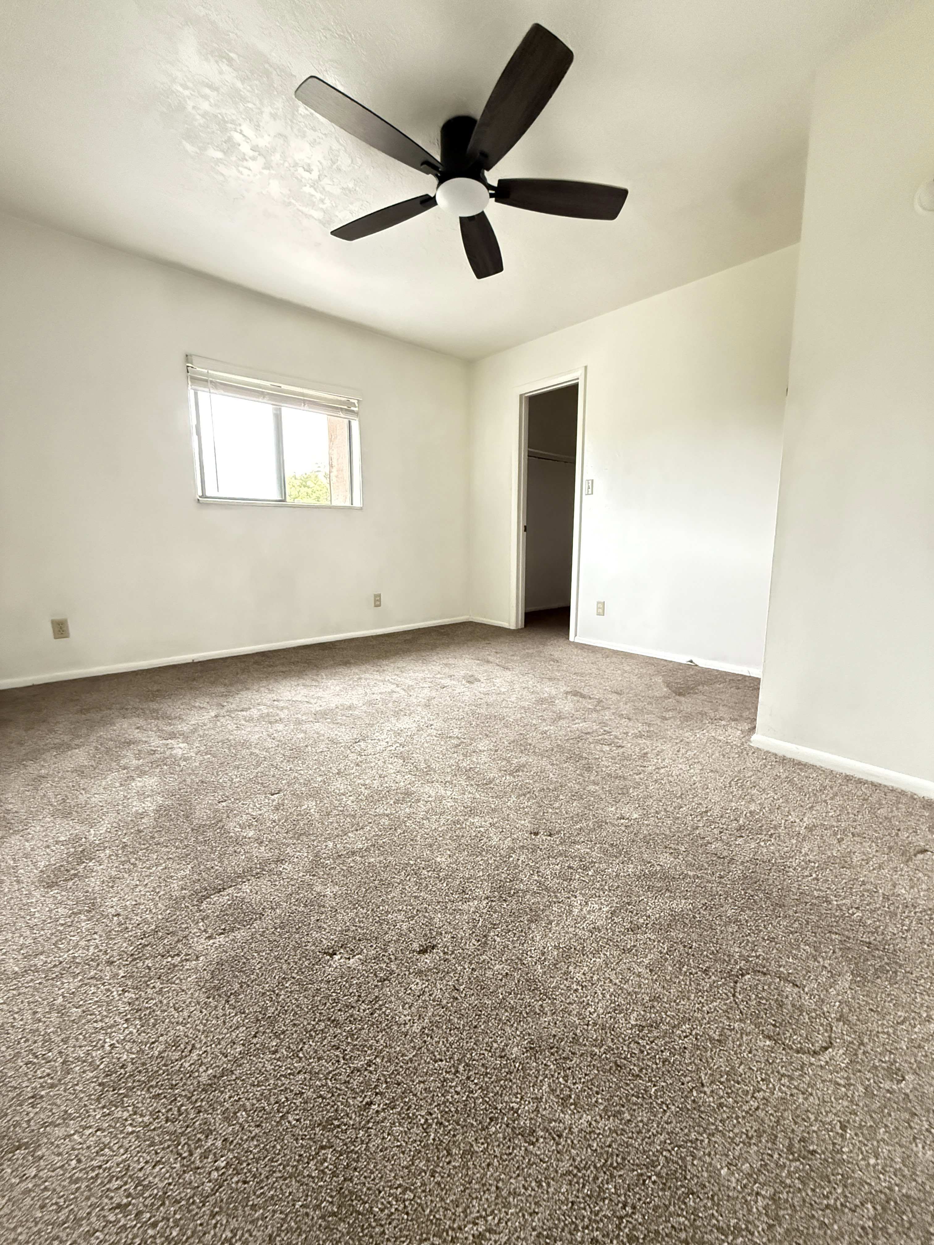 Spacious room featuring neutral carpeting, white walls, a multi-pane window, and a five-blade ceiling fan with integrated lighting