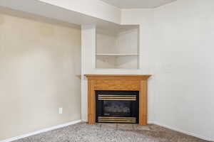 Detailed view of carpet and a glass covered fireplace