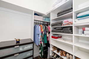 Walk in closet featuring dark wood-style floors