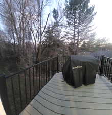 Wooden terrace featuring grilling area