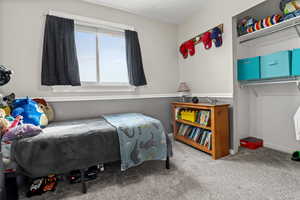 Bedroom with a wainscoted wall and carpet