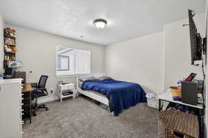 Carpeted bedroom with an office area and a textured ceiling
