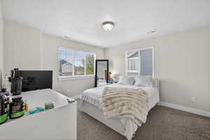 Bedroom with baseboards and carpet floors