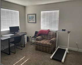 Office with light carpet and baseboards