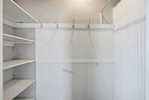 View of walk in closet