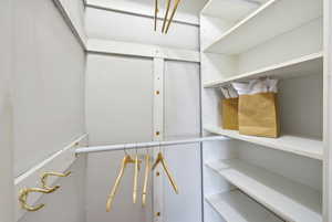 View of walk in closet