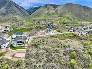 Aerial perspective of suburban area with a mountainous background