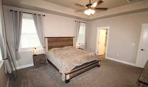 Large owners' suite featuring a tray ceiling, ceiling fan, carpet, and walk-in closet.