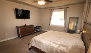 Large owners' suite featuring a tray ceiling, ceiling fan, carpet, and walk-in closet.