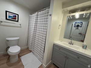Bathroom featuring a shower with shower curtain, vanity, and light wood-type flooring