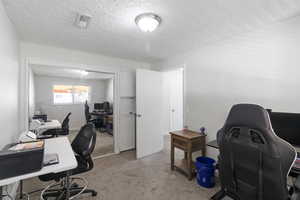 Office space with light carpet and a textured ceiling