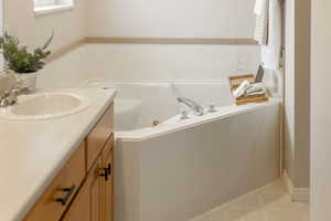 Full bathroom with vanity and a whirlpool tub