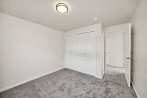 Unfurnished bedroom featuring carpet floors and a closet