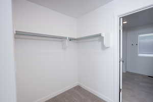 Walk in closet featuring light colored carpet