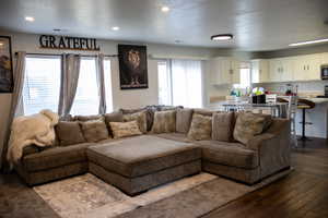Living area with wood finished floors, recessed lighting, and a textured ceiling