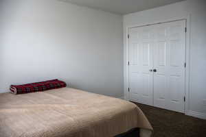 Bedroom with carpet and a closet