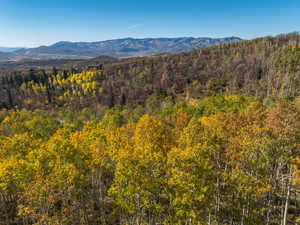 View of mountain background
