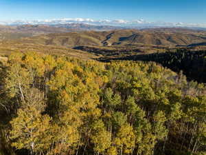 View of mountain background