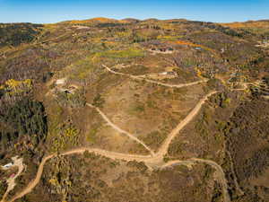 Drone / aerial view of a mountain backdrop and a heavily wooded area