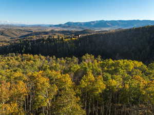 Mountain view featuring a forest