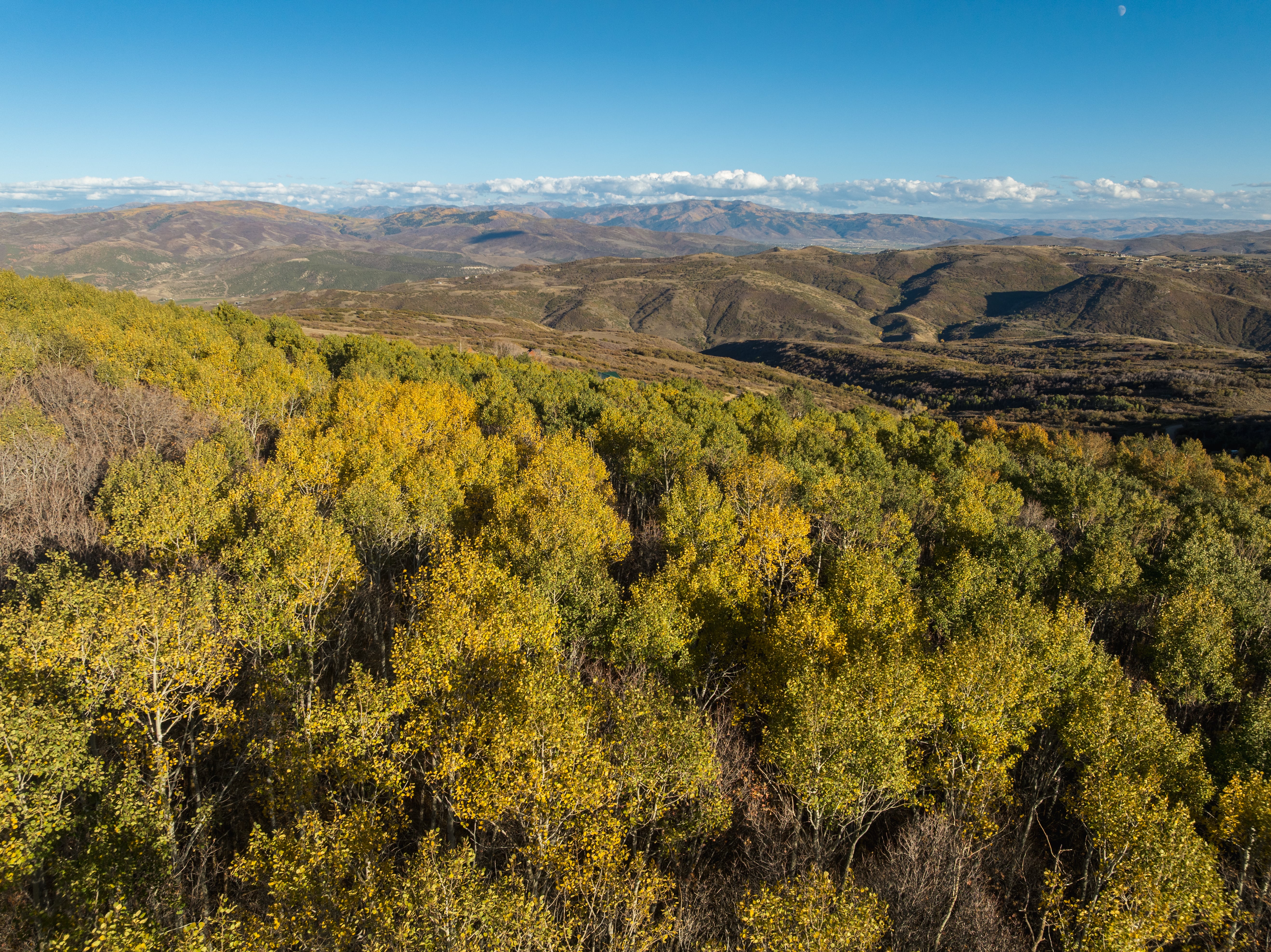 Mountain view