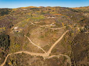 Bird's eye view of mountains and a forest