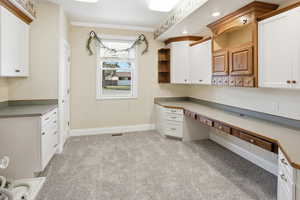 Unfurnished office/Craft Room Laundry Hookups with built in study area, light colored carpet, and crown molding