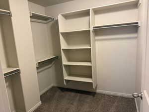 Walk in closet with dark colored carpet