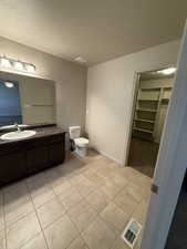 Bathroom featuring vanity, a spacious closet, and a textured ceiling