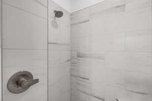 Bathroom view of tiled shower