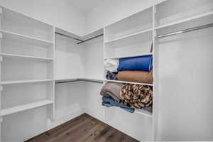 Walk in closet with dark wood-type flooring