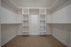 Walk in closet with light carpet